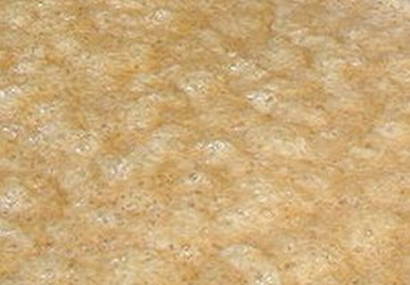un exemple de fermentation industrielle